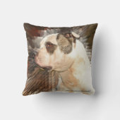 アメリカブルドッグ枕 クッション (裏面)