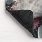 アメリカブルドッグ マウスパッド (コーナー)