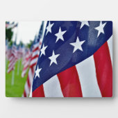 アメリカプライド フォトプラーク (正面)