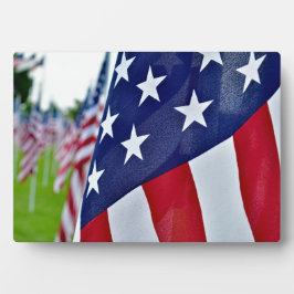 アメリカプライド フォトプラーク