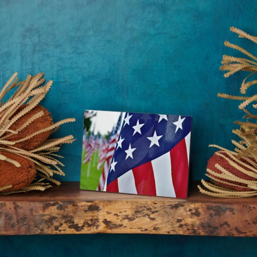 アメリカプライド フォトプラーク (側面)