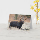 アメリカヘラジカおよびリスの"永久に友人の"挨拶状 カード (黄色い花)