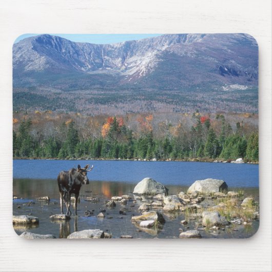 アメリカヘラジカのパッド マウスパッド (正面)