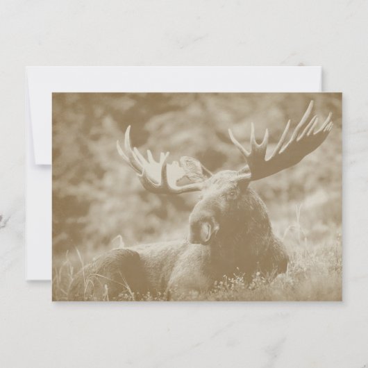 アメリカヘラジカのビッグ・ゲームの野性生物の(雄ジカの)枝角の結婚式招待状 招待状 (裏面)