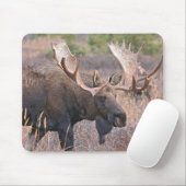 アメリカヘラジカのマウスパッド マウスパッド (マウス)