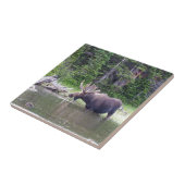 アメリカヘラジカを食べ物を与える水 タイル (側面)