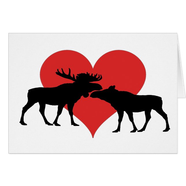 アメリカヘラジカ雄牛および牛 (正面横)