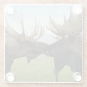 アメリカヘラジカ ガラスコースター (裏面)