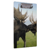 アメリカヘラジカ クリップボード (右)