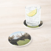 アメリカヘラジカ コースター (側面)