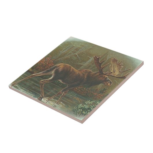 アメリカヘラジカ タイル (側面)