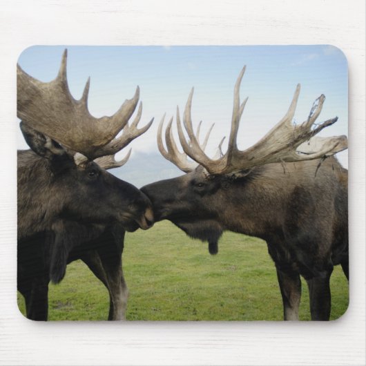 アメリカヘラジカ マウスパッド (正面)