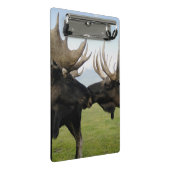 アメリカヘラジカ ミニクリップボード (アングル)