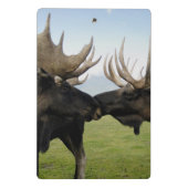 アメリカヘラジカ ミニクリップボード (裏面)