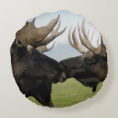 アメリカヘラジカ ラウンドクッション (裏面)