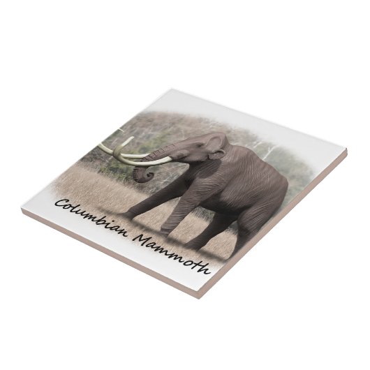 アメリカマンモス タイル (側面)