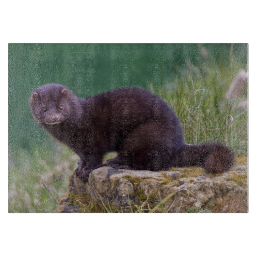 アメリカミンクの長方形のまな板 カッティングボード (正面)