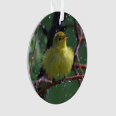 アメリカムシクイ オーナメント (正面)