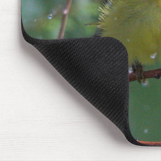 アメリカムシクイ マウスパッド (コーナー)