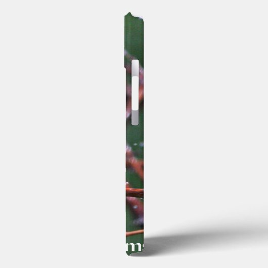 アメリカムシクイ Case-Mate iPhoneケース (裏面 / 左)