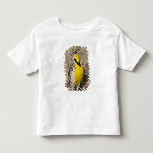 アメリカムシクイ (Sturnella neglecta) トドラーTシャツ (正面)