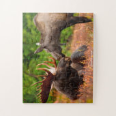 アメリカムース ジグソーパズル (縦)