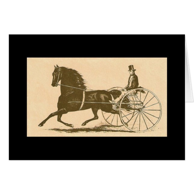 アメリカモーガン (正面横)