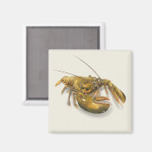 アメリカロブスター磁石 マグネット (正面/裏面)