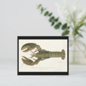 アメリカロブスター – シャーマンデントンフィッシュリトグラフ ポストカード (スタンド正面)