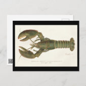 アメリカロブスター – シャーマンデントンフィッシュリトグラフ ポストカード (正面/裏面)