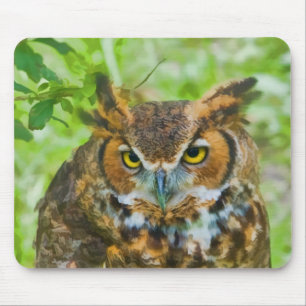 アメリカワシミミズクとのマウスパッド マウスパッド