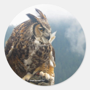 アメリカワシミミズクのステッカー ラウンドシール