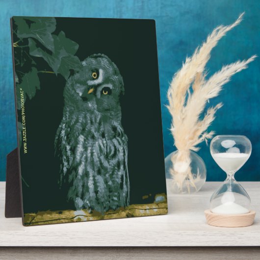 アメリカワシミミズクのプレート フォトプラーク (側面)