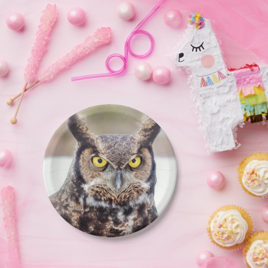アメリカワシミミズクのポートレート ペーパープレート (パーティー)