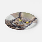 アメリカワシミミズクのポートレート ペーパープレート (アングル)