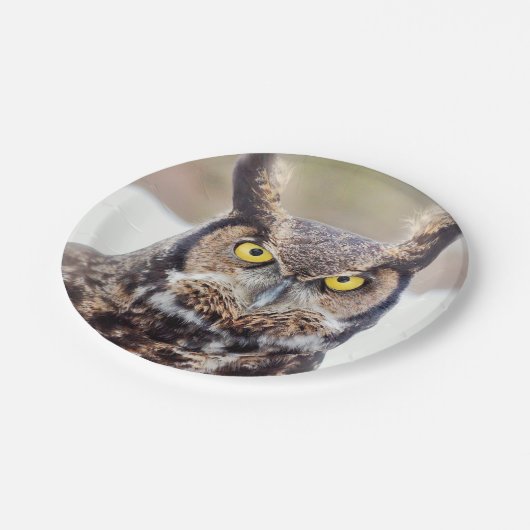 アメリカワシミミズクのポートレート ペーパープレート (アングル)