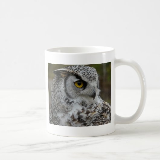 アメリカワシミミズクの写真 コーヒーマグカップ (右)