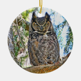 アメリカワシミミズクの凝視 セラミックオーナメント