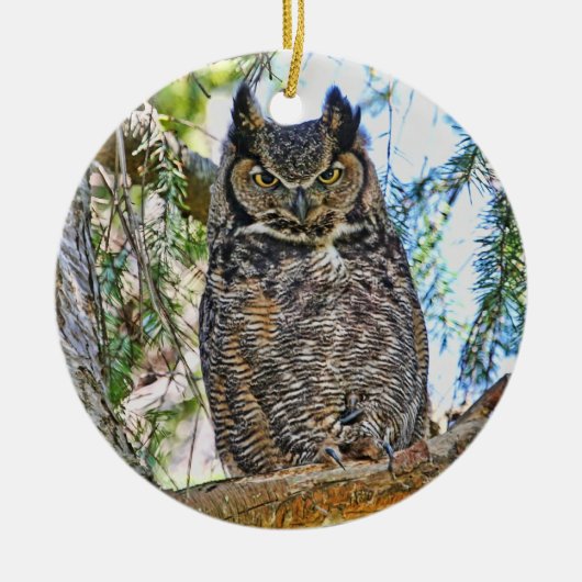 アメリカワシミミズクの凝視 セラミックオーナメント (正面)