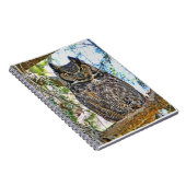 アメリカワシミミズクの凝視 ノートブック (右側)