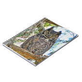 アメリカワシミミズクの凝視 ノートブック (左側)