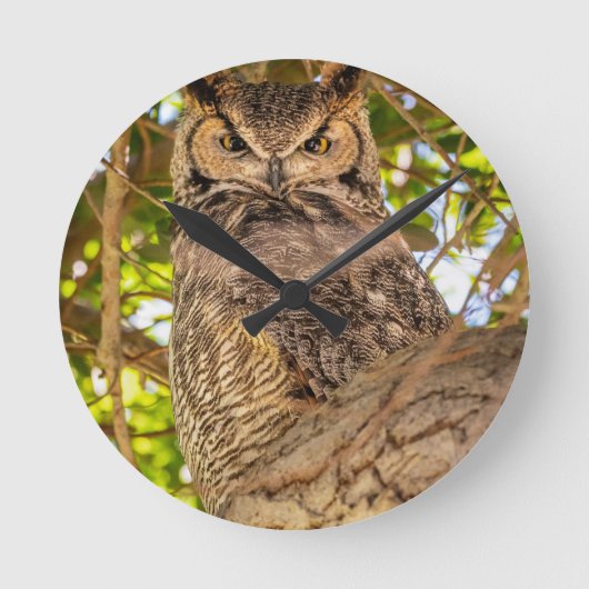 アメリカワシミミズクの壁時計 野生動物 自然のインテリア ラウンド壁時計 (正面)