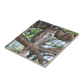 アメリカワシミミズクの小さい陶磁器の写真のタイル タイル (側面)