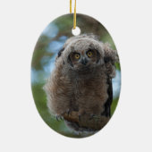 アメリカワシミミズクはギャリーのカシでとまりました セラミックオーナメント (裏面)