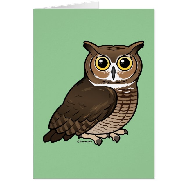 アメリカワシミミズク (正面)