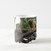 アメリカワシミミズク コーヒーマグカップ (中央)