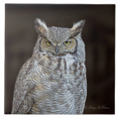 アメリカワシミミズク タイル (正面)