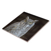 アメリカワシミミズク タイル (側面)