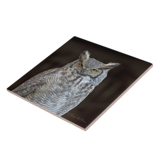 アメリカワシミミズク タイル (側面)