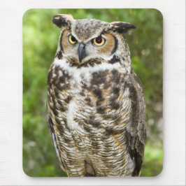 アメリカワシミミズク マウスパッド